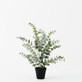 Faux Eucalyptus Plant In Pot - Pickup In Store Only