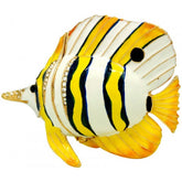 Butterfly Fish Trinket Box