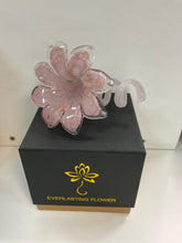 Everlasting Glass Flower 12cm pink/gold