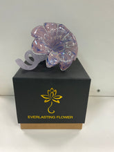 Everlasting Glass Flower - 12cm Pink/blue