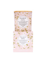 Meaningful Melts Melts Candle - Home