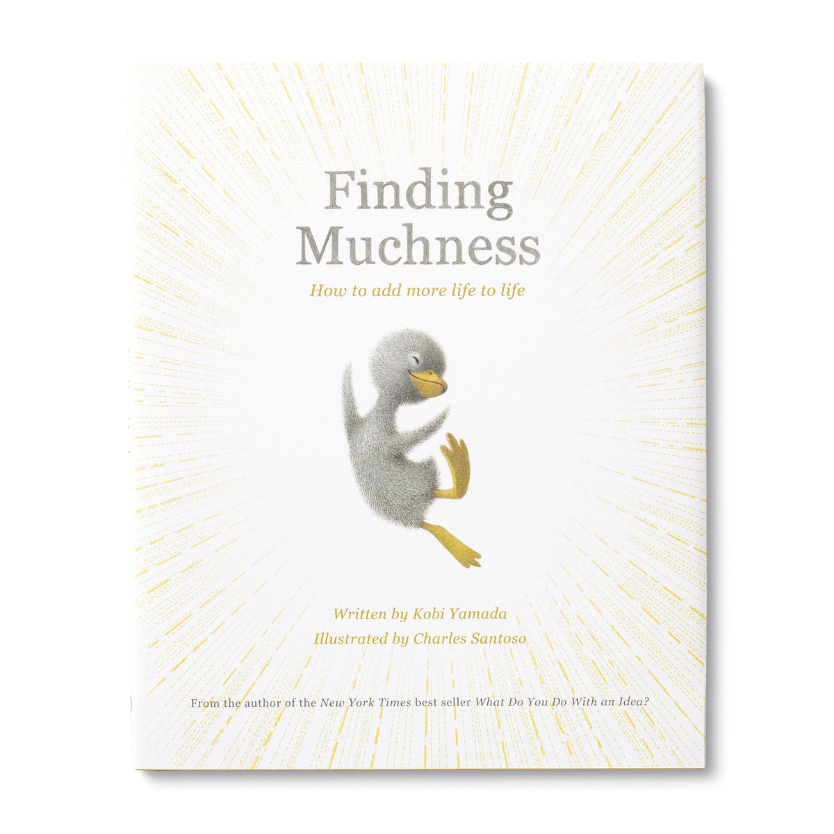 Finding Muchnes Book