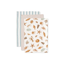 Load image into Gallery viewer, Shell Collection Tea Towel - Pack of 3