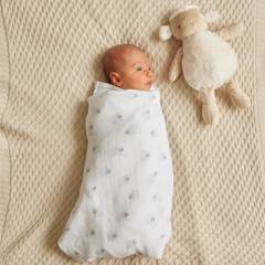 Cotton Muslin Wrap – Gift Set