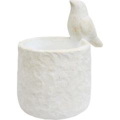 Planter Bird Of Paradiso