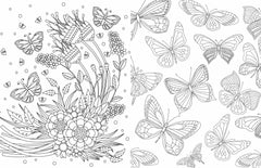 Colouring Book Butterflies