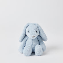 Load image into Gallery viewer, Jiggle &amp; giggle Pale Blue Bunny Small