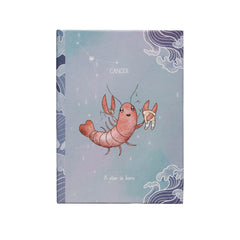 Organic Baby Teether Cancer