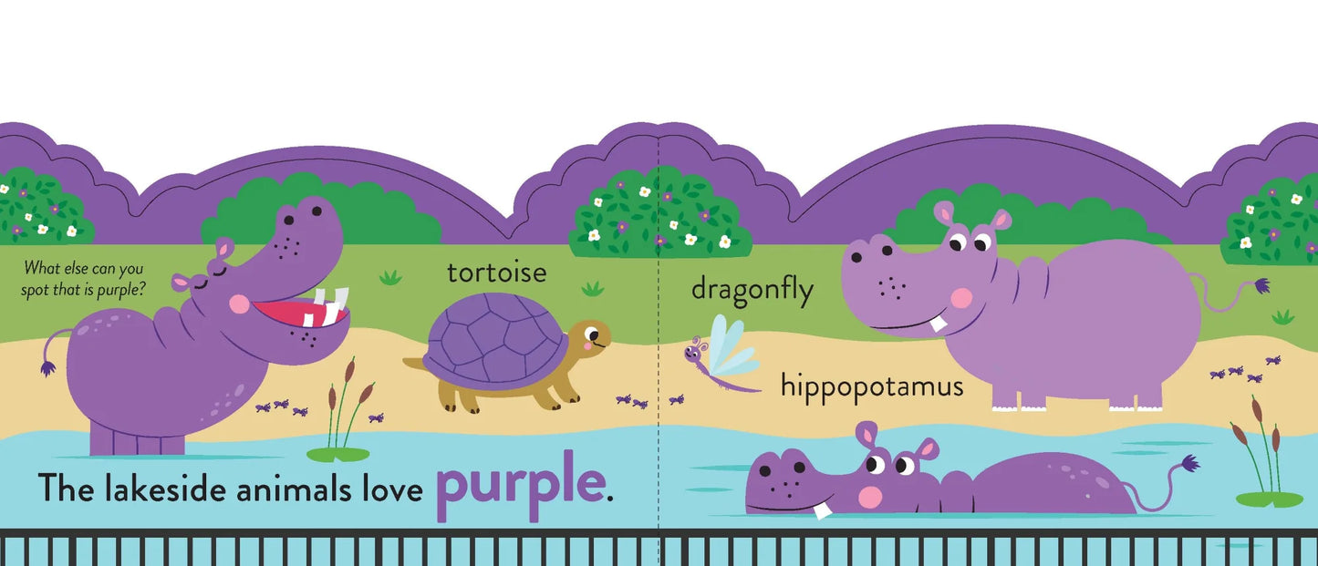 Chunky Scenes Board Book My First Colours At the Zoo