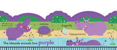 Chunky Scenes Board Book My First Colours At the Zoo