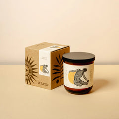 Connected to Source 500ml Candle – Agave & Magnolia