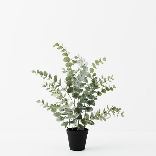 Faux Eucalyptus Plant In Pot - Pickup In Store Only