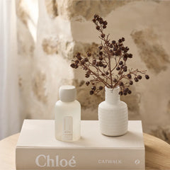 al.ive Room Spray – Mango & Lychee