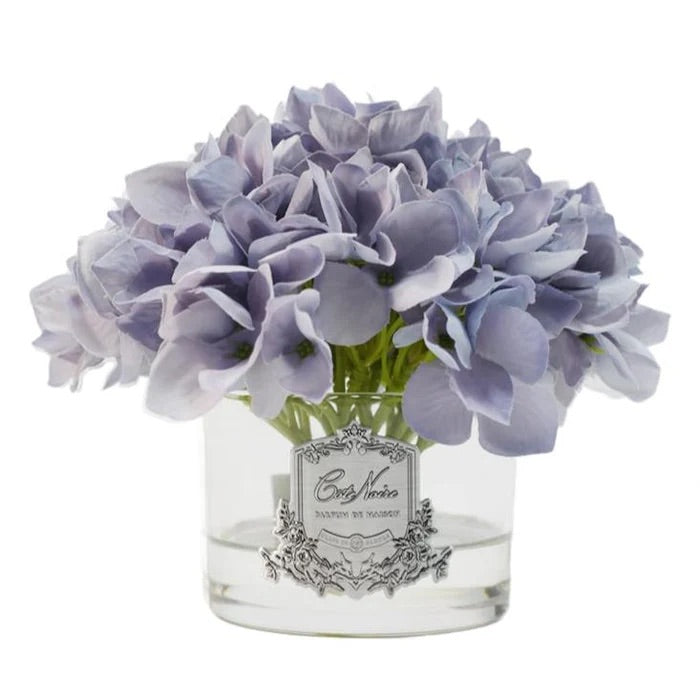 Cote Noire Hydrangeas Blue