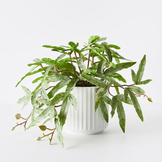 Faux Fern In Ceramic Pot - Pickup In Store Only