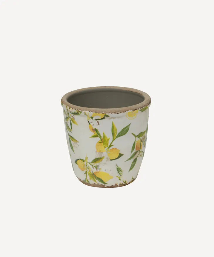 Botanical Lemon Pot Small