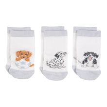 Load image into Gallery viewer, Little Paws Baby Socks Set