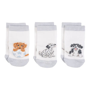 Little Paws Baby Socks Set