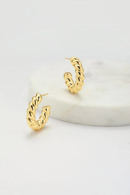 Zafino Nova Hoop Earrings Gold