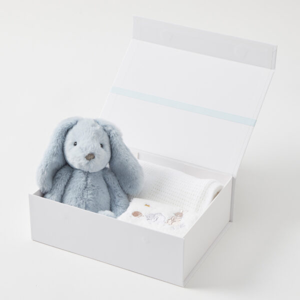 Jiggle & Giggle Pale Blue Bunny Hamper Gift Set