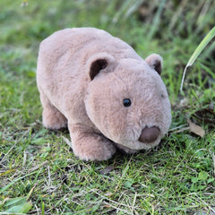 Petite Vous Walter the Wombat Plush Toy