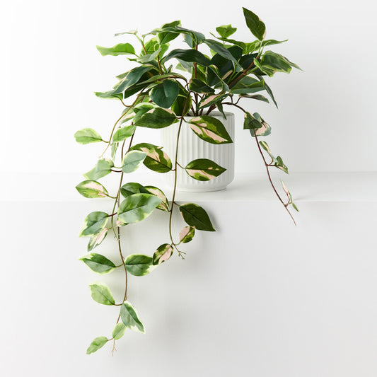 Faux Pothos Plant In Ceramic Pot - Pickup In Store Only