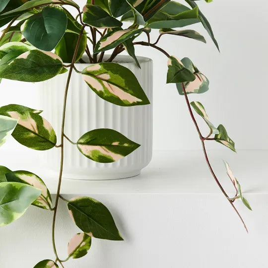 Faux Pothos Plant In Ceramic Pot - Pickup In Store Only