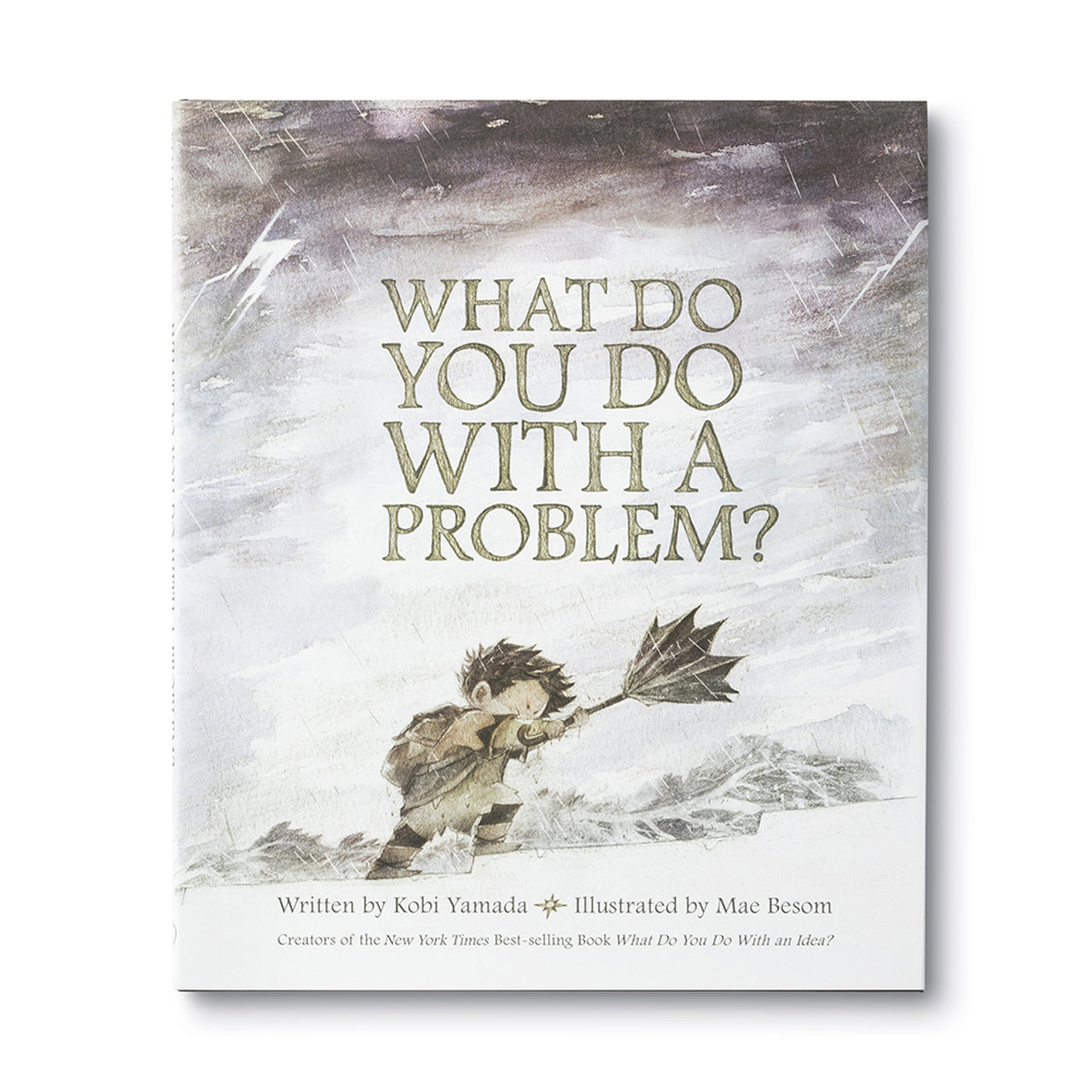 What Do You Do With A Problem? Book