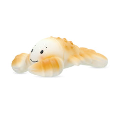 Organic Baby Teether Cancer