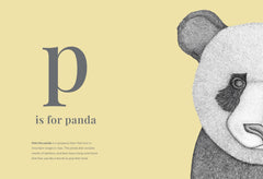 Dots By Donna The Animal Alphabet