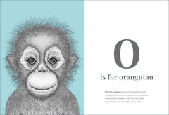 Dots By Donna The Animal Alphabet