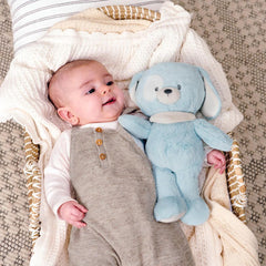 Recycled Bay Puppy – Ultra-Soft 30cm Plush Toy