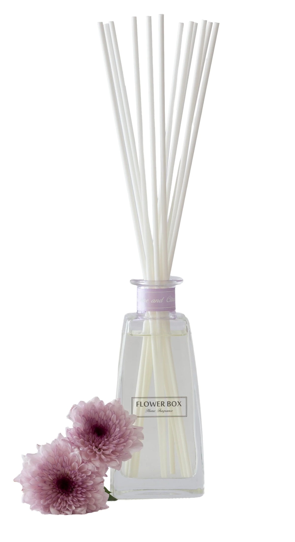 Flower Box White Jasmine & Citrus Blossom Reed Diffuser