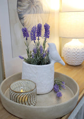 Planter Bird Of Paradiso