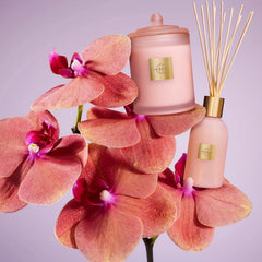 Glasshouse Radiance In Bloom Fragrance Diffuser