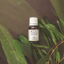 Load image into Gallery viewer, iKou Essential Oil Rainforest
