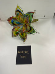 Everlasting Glass Flower Multicolour 18cm