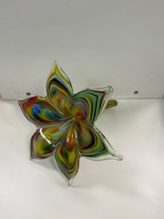 Everlasting Glass Flower Multicolour 18cm