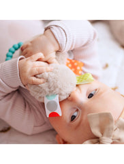 Mary Meyer® Taggies Baby Rattle & Silicone Teether Toy