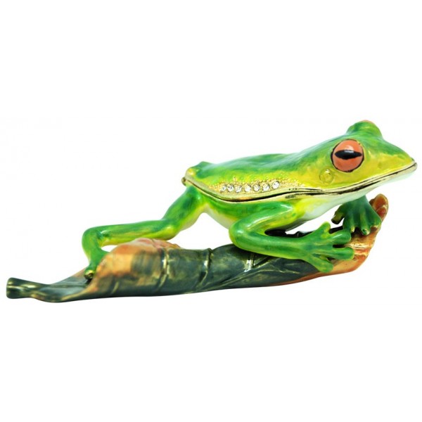 Red Eye Tree Frog Trinket Box